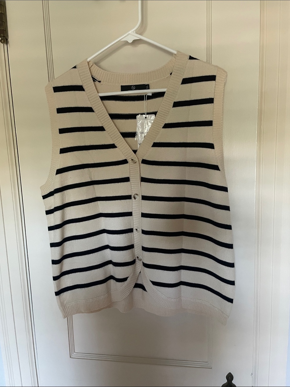Striped Cream and Black Button-Front Sweater Vest